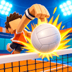 Funny Volleyball